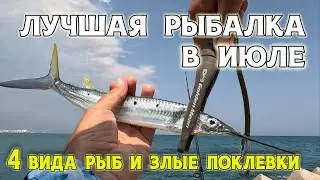 Лучшая рыбалка за этот месяц. Поймал 4 вида рыб и первого полурыла. Морская рыбалка в Турции.