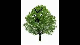 Do not hurt trees....