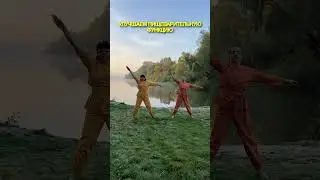 Цигун для желудочно-кишечного тракта 