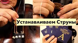 Меняем Струны на Скрипке/ Подробно в деталях/ Настраиваем скрипку/Обзор Струн/ Отзыв👍🏻👎🏻🎻
