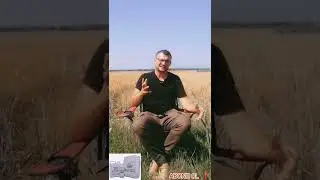 BUĞDAYGİLLERDE (WORMY) SOLUCAN GÜBRESİ KULLANIMI