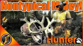 ANOTHER NONTYPICAL Muley on Our Quest for a Giant! | theHunter Classic