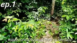 หลุมหลบระเบิด สงครามโลกครั้งที่ 2