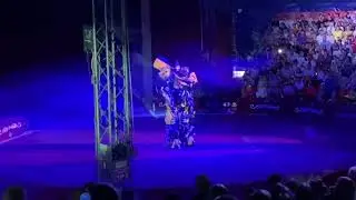 Цирк шапито Робат