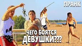 БОЛЬШОЙ ПАУК на Пляже - ПРАНК spider on the beach