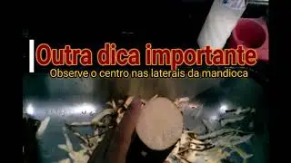 Mandioca boa para cozinhar#Dicas importantes na hora de comprar#