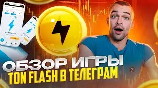 Как TON Flash Завоевывает Пользователей: Зарабатывайте TON, NOT и FLASH в Telegram