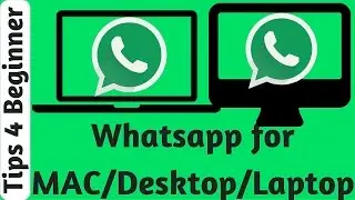 How to Download Whatsapp on PC Laptop Desktop or Install and use new Feature |  whatsapp Tricks