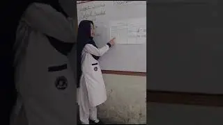 Science Presentations On Different Topics|Differentiation|Structure of plants|Chemical and physical