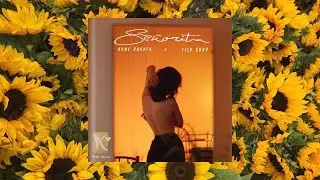 Hưng Dakota - Senorita ft Tieu Chuy