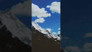 Yemyeşil Çam Ağaçları Arasında Huzurlu Bir Tatil Sizi Bekliyor!