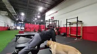 Prone ys and ts