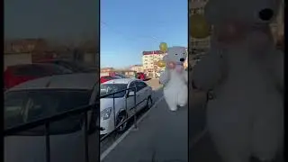 #белыймишка #поздравление #аэромедведь #мишка #dance