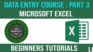 CREATE DYNAMIC AND AUTOMATED DATA ENTRY FORM IN EXCEL - EXCEL MACROS AND VBA
