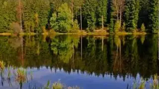 Herbststimmung am Großen Hirschteich im Vogtland