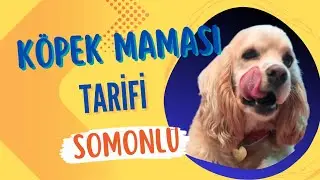 EVDE KOPEK MAMASI YAPIYORUZ        Homemade Dog Food