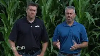 Soil pH 