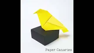 Paper Canaries - Big Brother