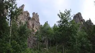 Инзерские зубчатки. Август 2020 года.