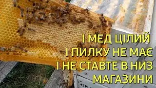 І мед цілий, і пилку не має, і не ставте в низ магазини 