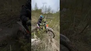 11 мая 2024 г.