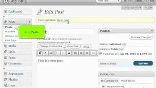 How to write a new post in WordPress - 4GoodHosting Support