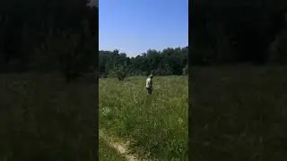 Эх, красота..
