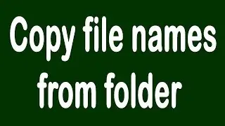 Copy file names from folder | Amin Services