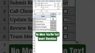 Insert Checkbox in Excel FAST! ✅ (No More YES/NO Text)