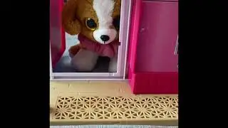 Dixie’s life episode 1
