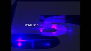 Kênh số 5 - Hình hiệu kênh (3) (2007 - 2009)
