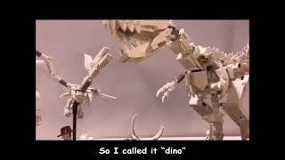 Dino's Song, by İsmail Emir Altıntaş, Ekin Gökçe Benli