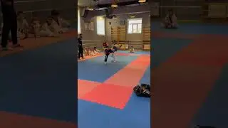 тренировки по тхэквондо 