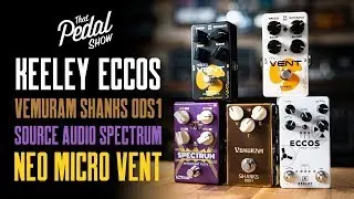 Keeley Eccos, Vemuram Shanks ODS-1, Source Audio Spectrum, NEO Micro Vent [TPS Pedal Jams]