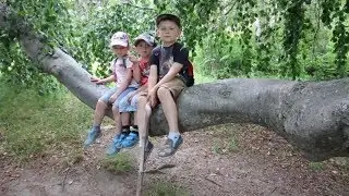 ПОХОД НА ГОРУ или HIKE UP THE HILL