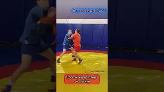 Самбо/Бросок через плечо со стойки
