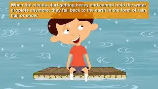 Water Cycle for Kids
