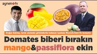 DOMATES BİBERİ BIRAKIN MANGO & PASSİFLORA EKİN
