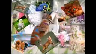 Ваша зарплата 15000 руб  Тогда этот призыв для вас!!! Марина Зверева