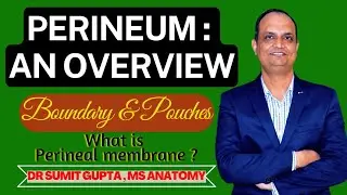 ANATOMY OF PERINEUM : AN OVERVIEW