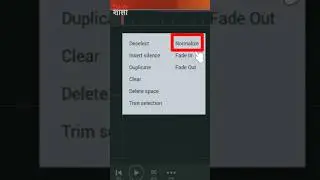 Normalize Audio Gain in FL Studio Mobile (increase Volume)