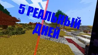5 реальный дней как открыт сервер