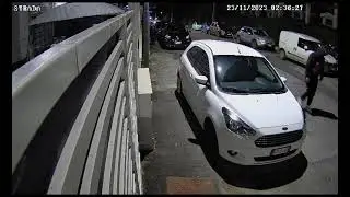 Telecamera di Sorveglianza - Ladri in azione