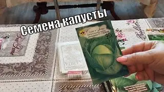 Обзор семян капусты 2024 г. Какую буду сеять?