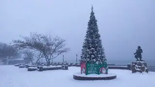 И в Коктебель пришла зима - Коктебель NEW'S 17.01.2021 г.