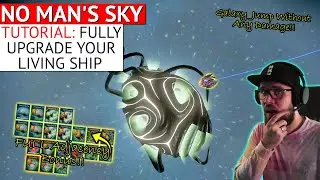 How to Fully Upgrade your Living Ship in No Man's Sky