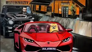 Как шпиц изменил мою жизнь ‘