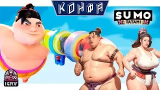 Sumo Tatami | Игровой фестиваль КОНФА