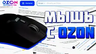 DELUX M800PRO PAW3370! ОБЗОР! ЛУЧШАЯ МЫШЬ ПО ДОСТУПНОЙ ЦЕНЕ С OZON! ЧТО С НЕЙ СТАЛО ЗА ДВА ГОДА?