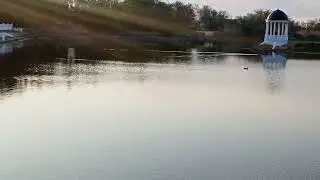 Утро...